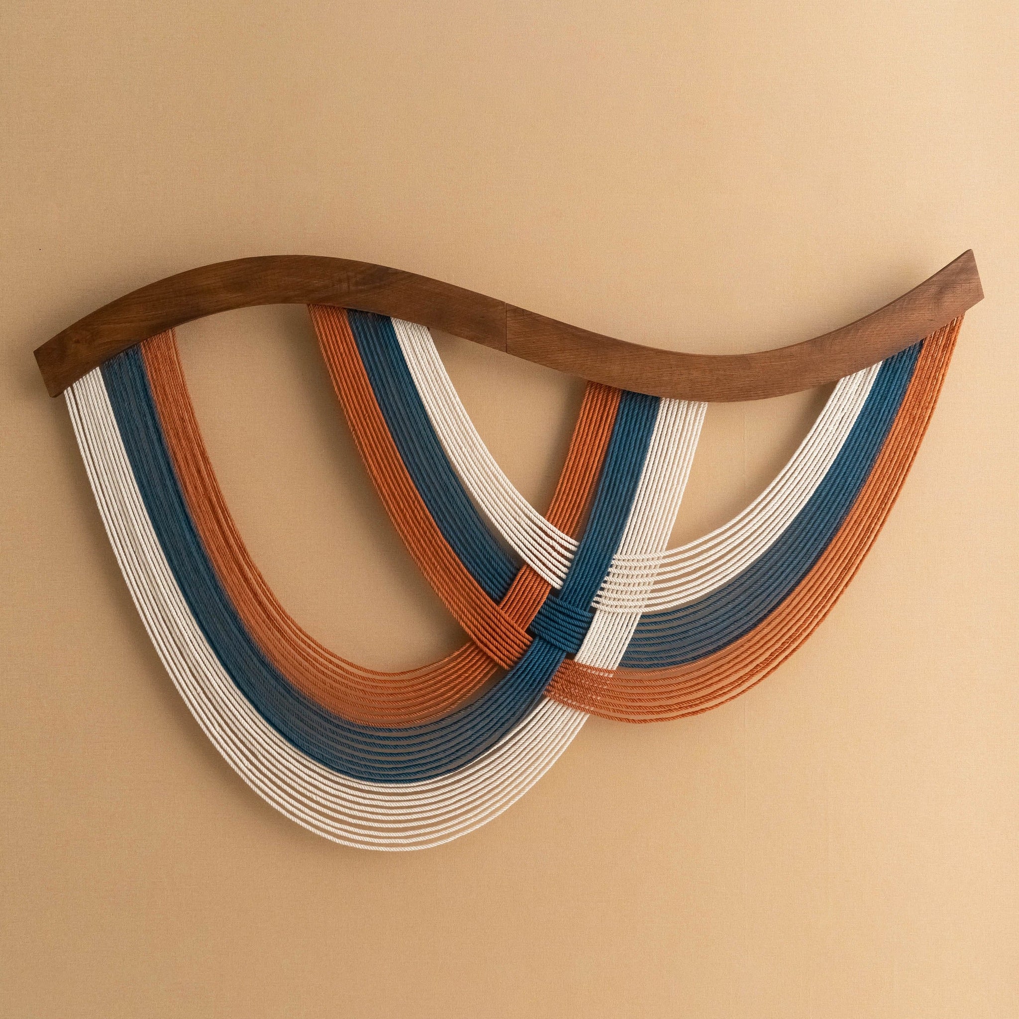 The Flow Wall Hanging Fiber for Home Decor and Macrame Wall Hanging Art V93