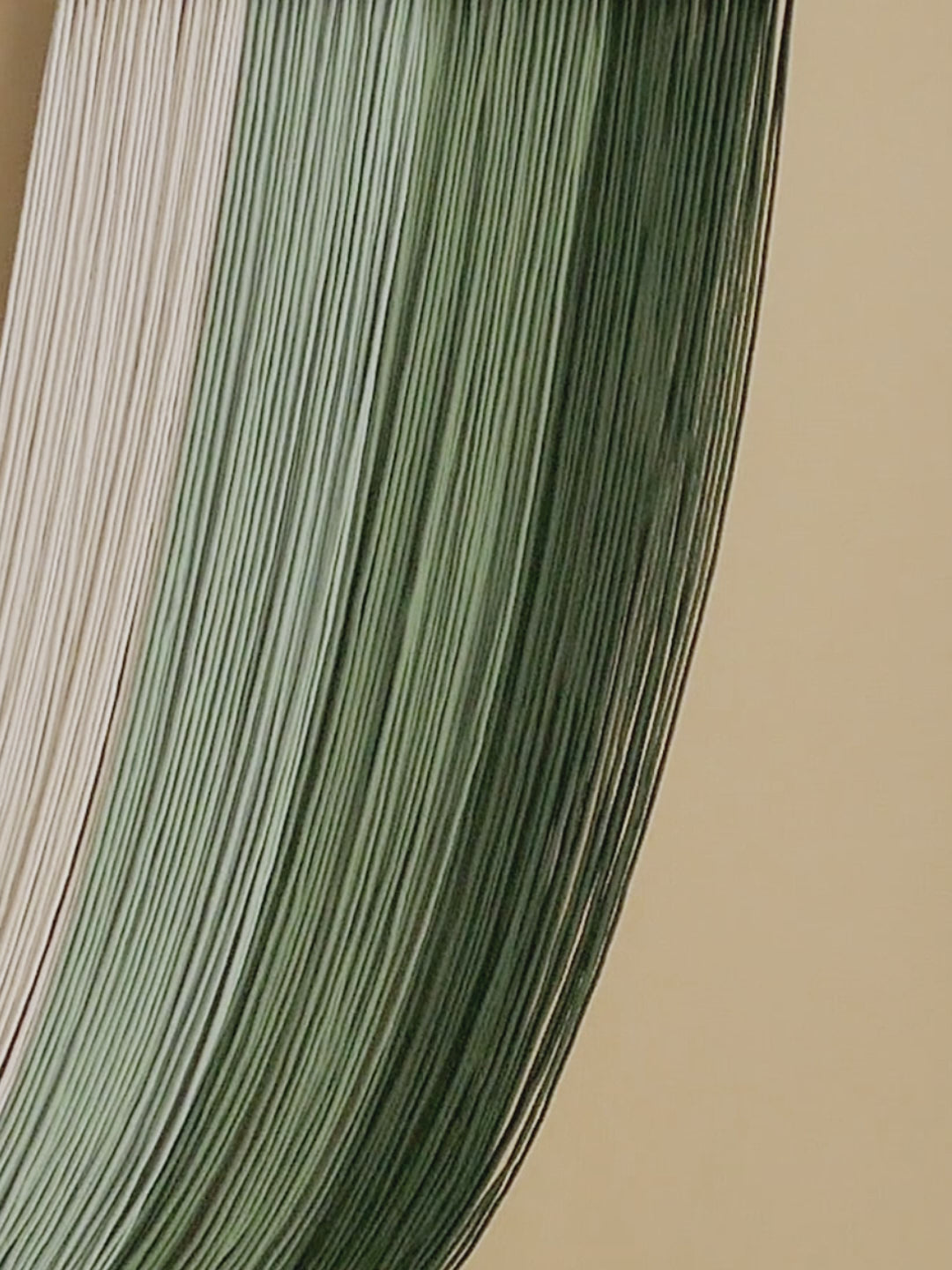 Milky Way Jellyfish - U-Shaped Macrame Wall Hanging in Earthy Green W59